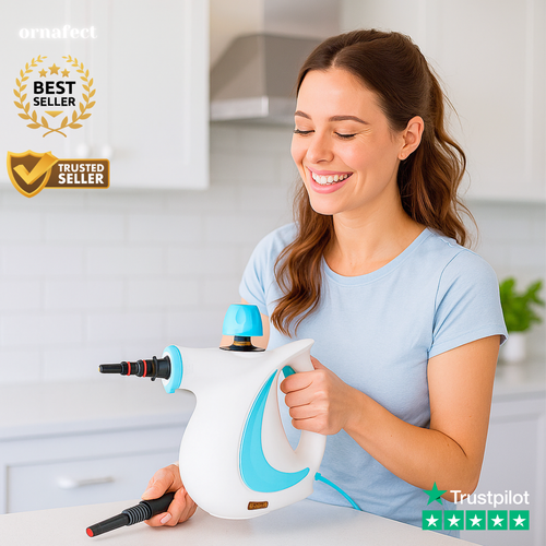 Ornafect Pro™ Steamer
